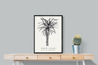 Pixalot ® Tree Aloe Illustration