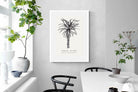Pixalot ® Tree Aloe Illustration
