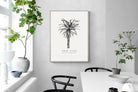 Pixalot ® Tree Aloe Illustration