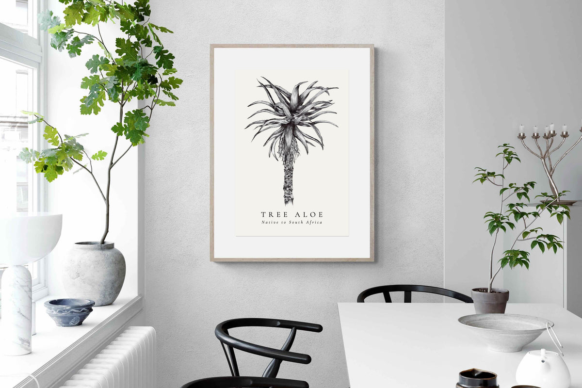Pixalot ® Tree Aloe Illustration