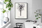Pixalot ® Tree Aloe Illustration