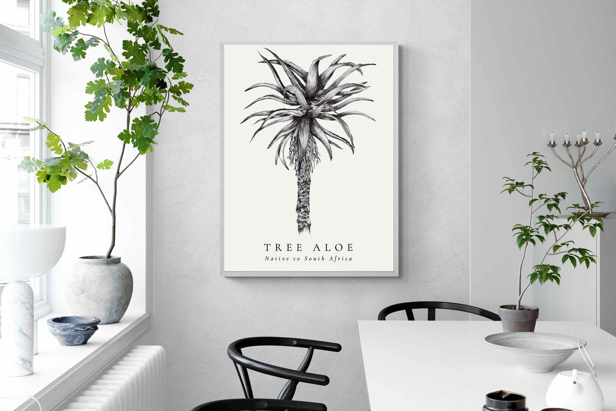Pixalot ® Tree Aloe Illustration