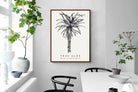 Pixalot ® Tree Aloe Illustration