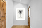 Pixalot ® Tree Aloe Illustration