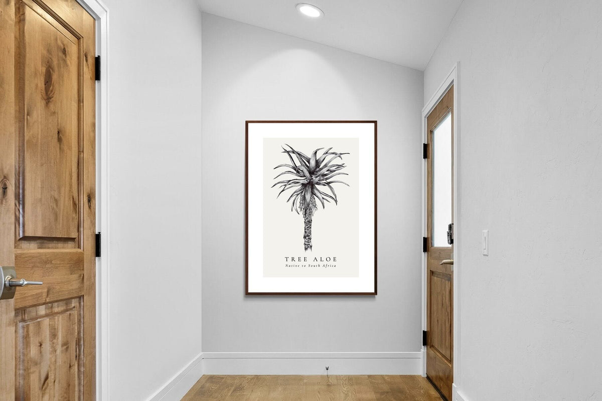 Pixalot ® Tree Aloe Illustration