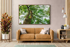 Pixalot ® Tree Canopy