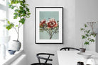 Pixalot Tree Peonies