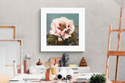 Pixalot Tree Peony