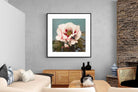 Pixalot Tree Peony