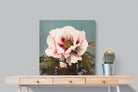 Pixalot Tree Peony
