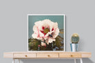 Pixalot Tree Peony
