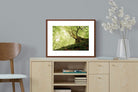 Pixalot ® Tree
