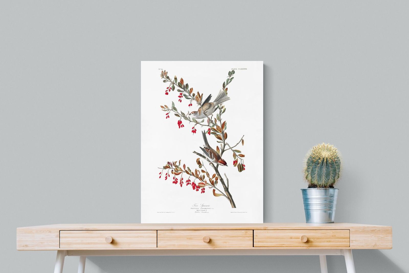 Pixalot Tree Sparrow (Birds of America 1827)