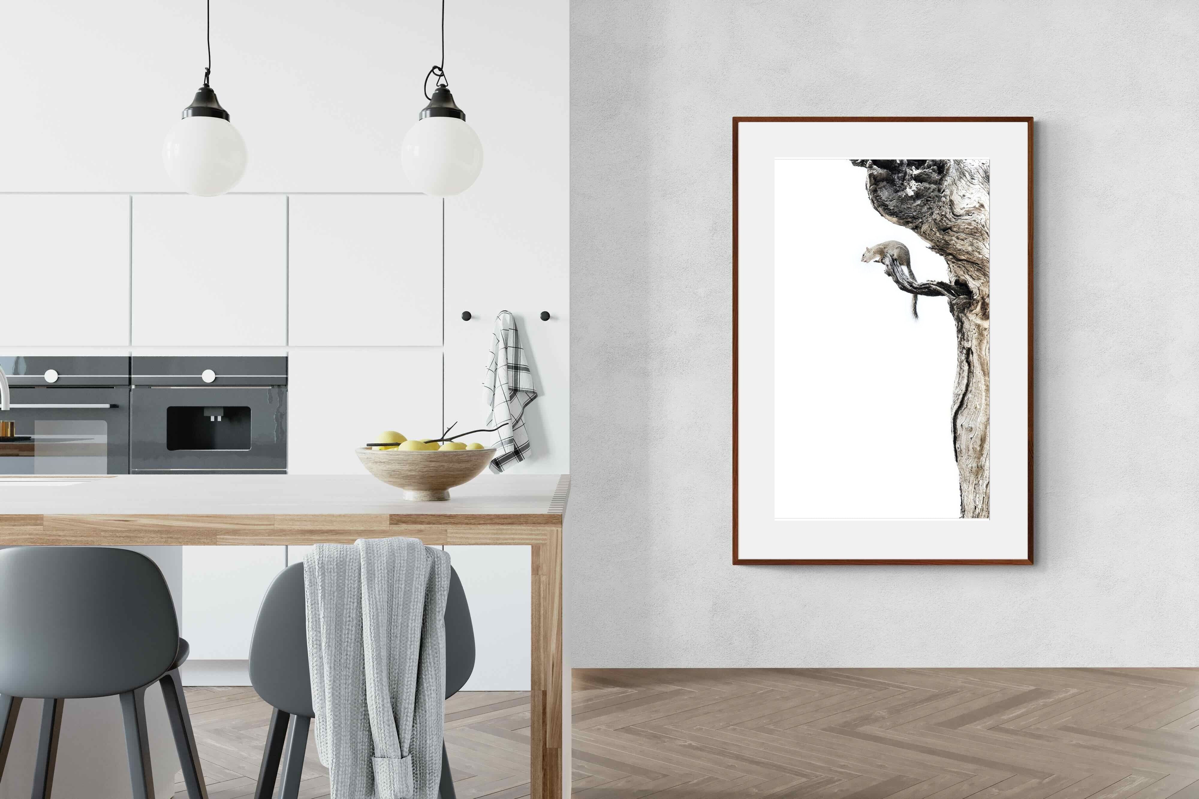 Pixalot Tree Squirrel