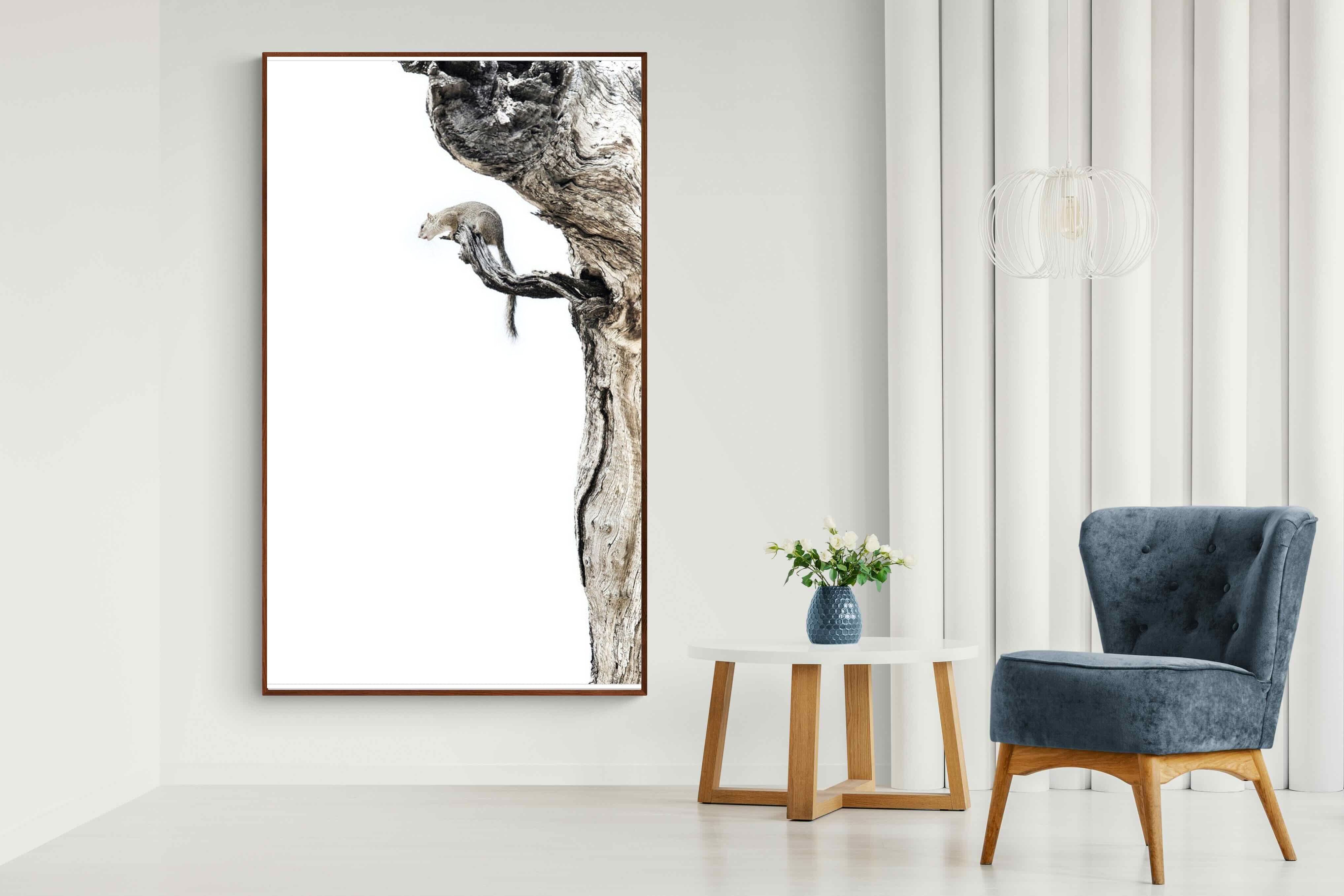 Pixalot Tree Squirrel