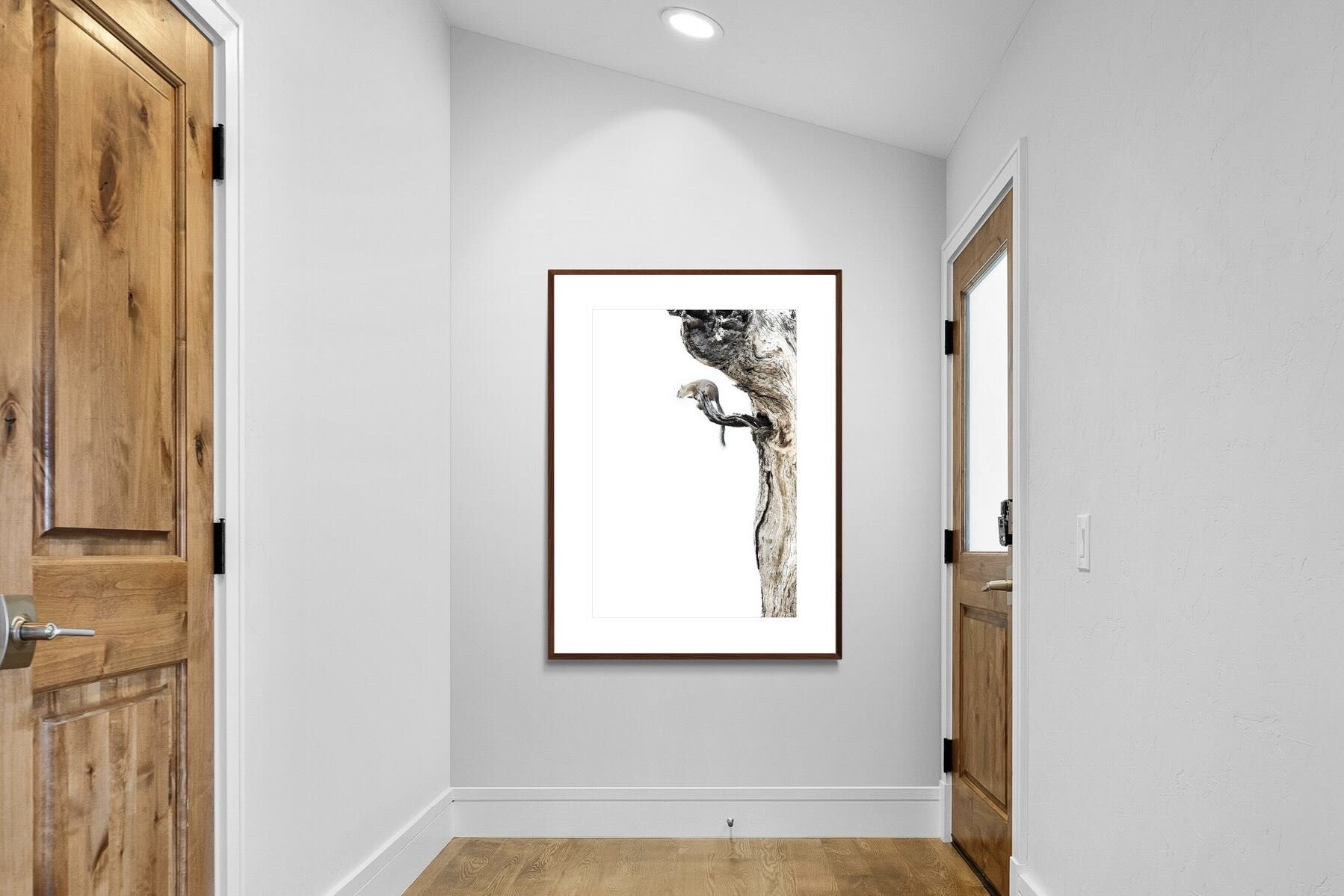 Pixalot Tree Squirrel