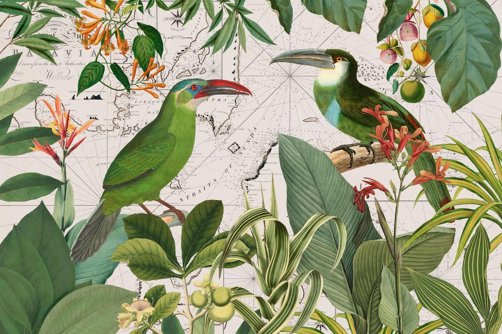 Tropical Atlas