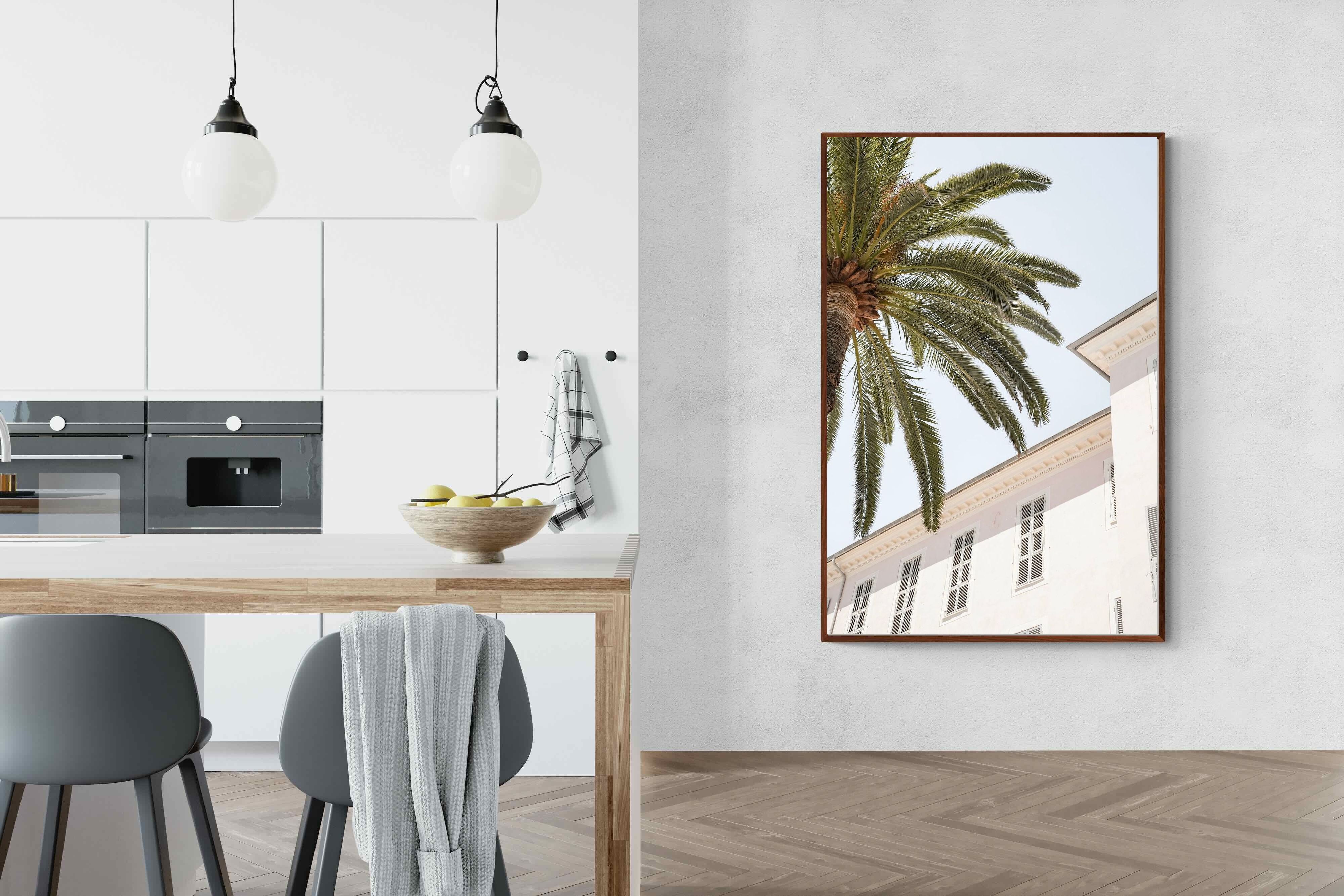 Pixalot Tropical Menton