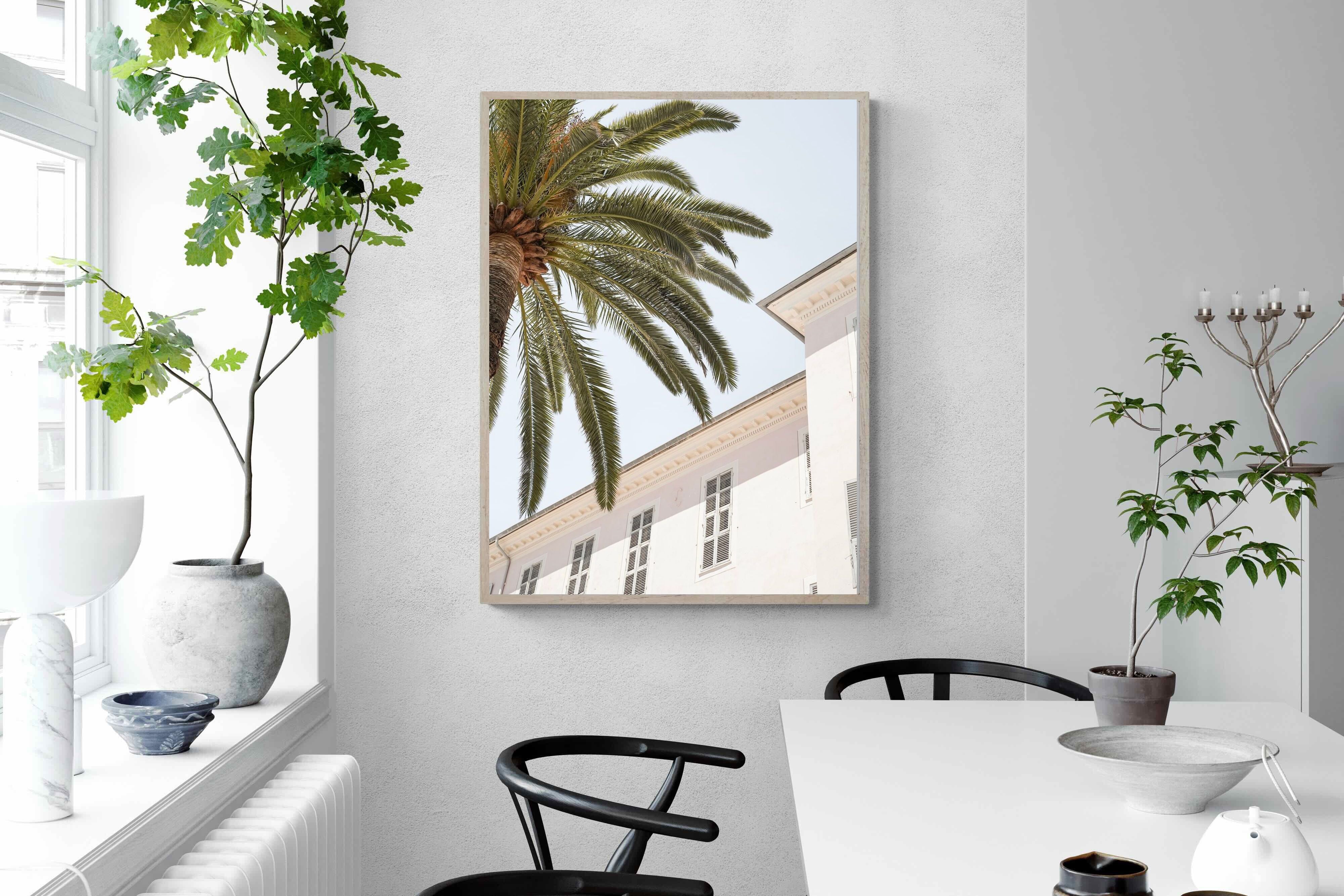 Pixalot Tropical Menton