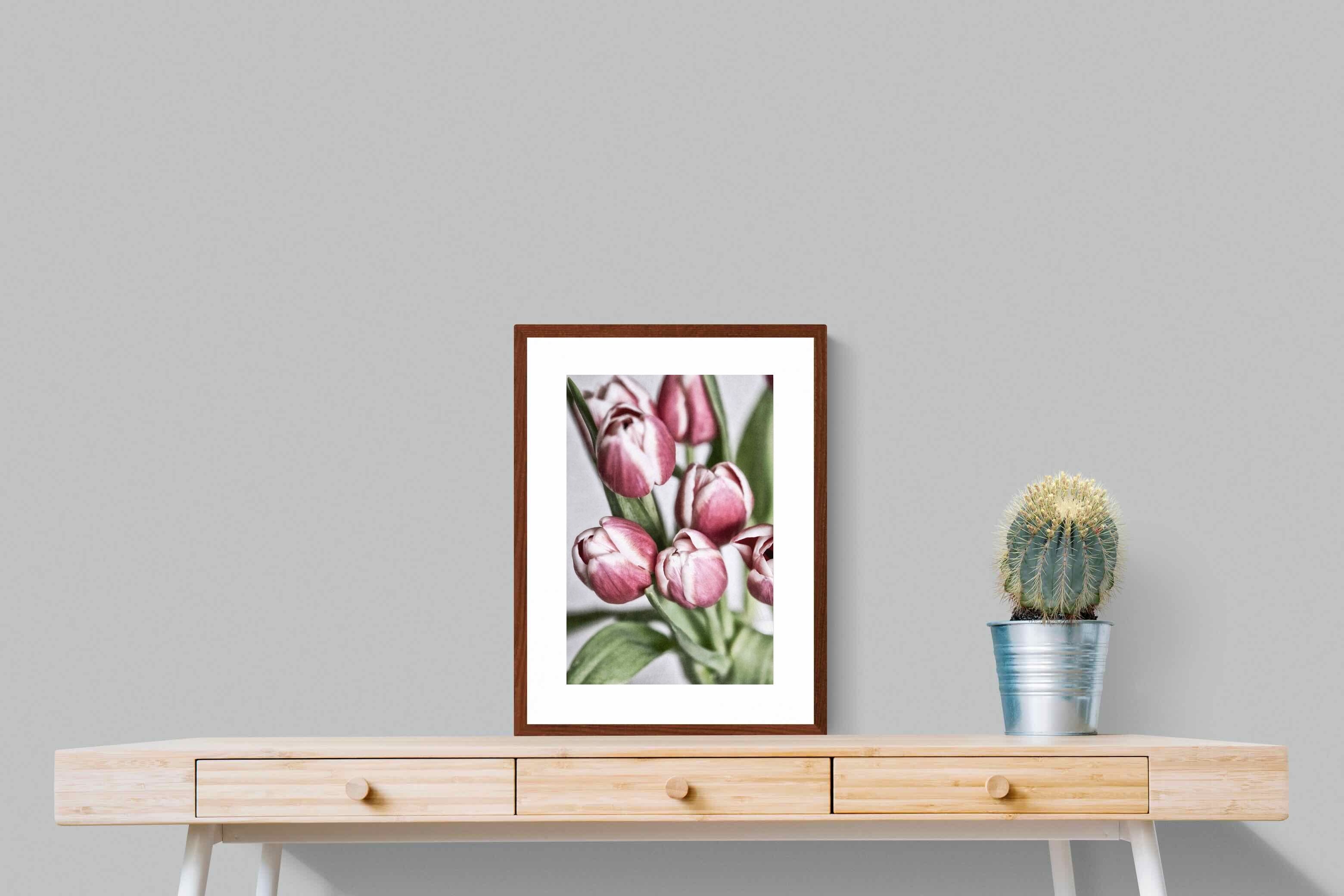 Pixalot Tulip Bunch