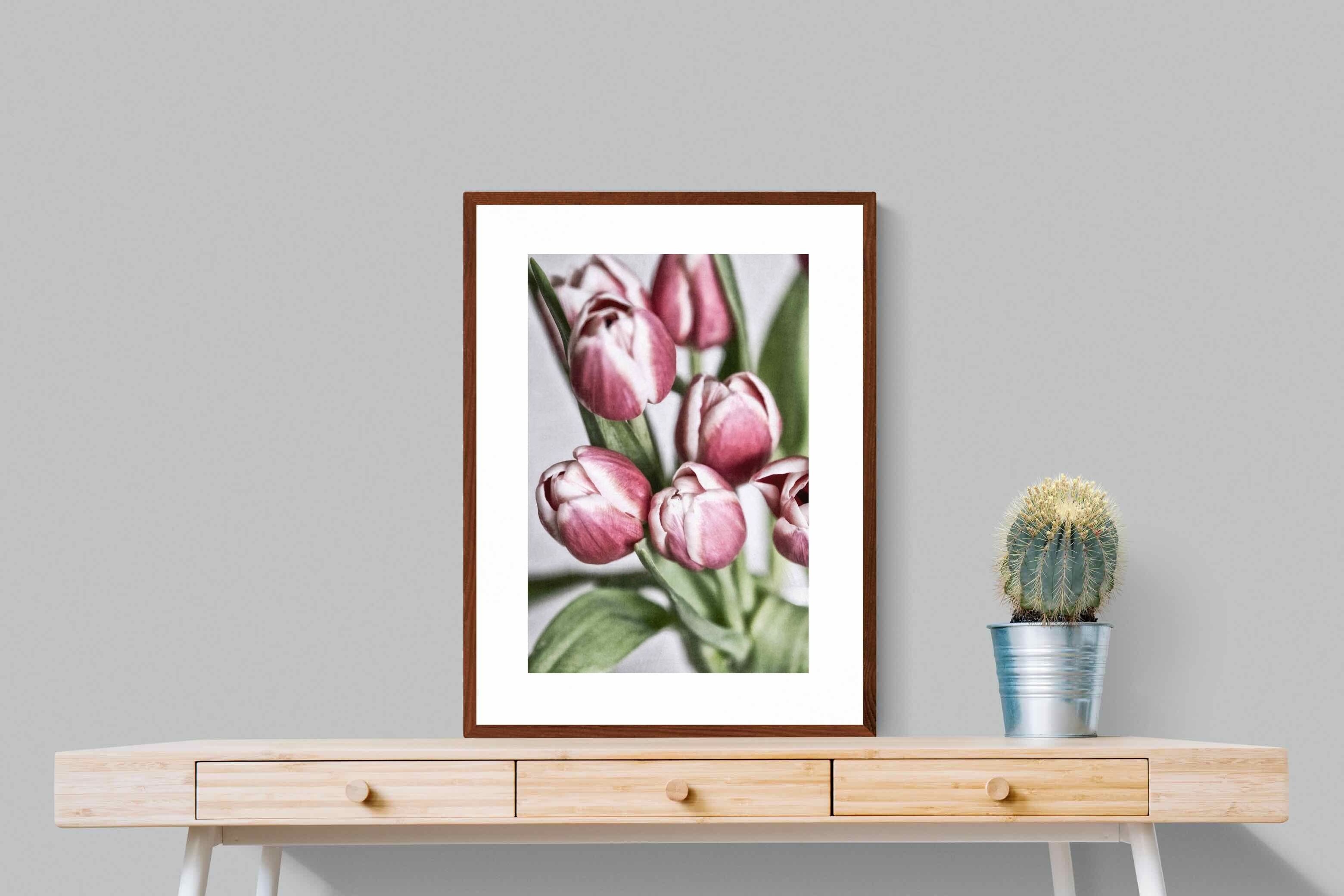 Pixalot Tulip Bunch