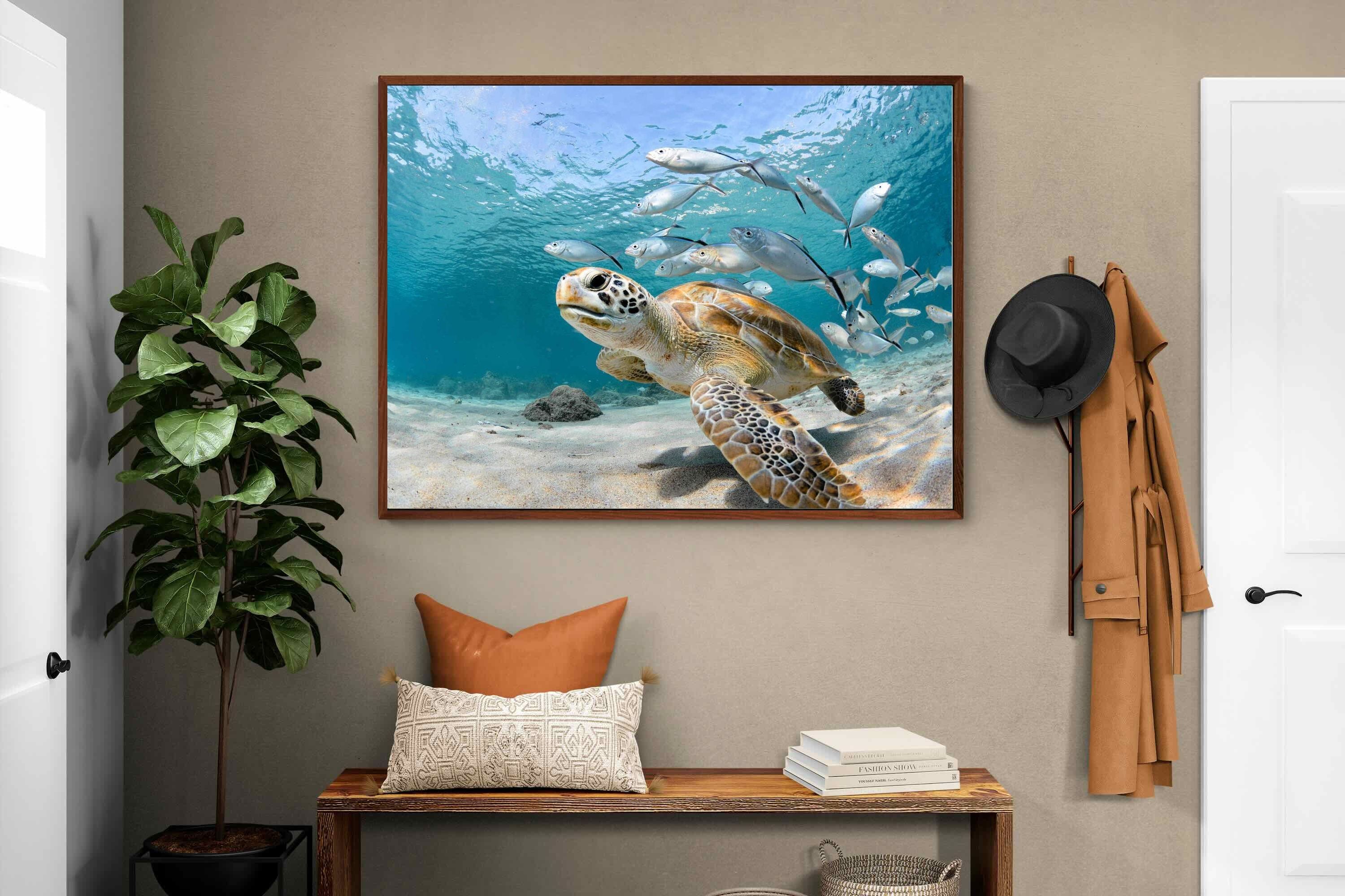 Pixalot ® Turtle