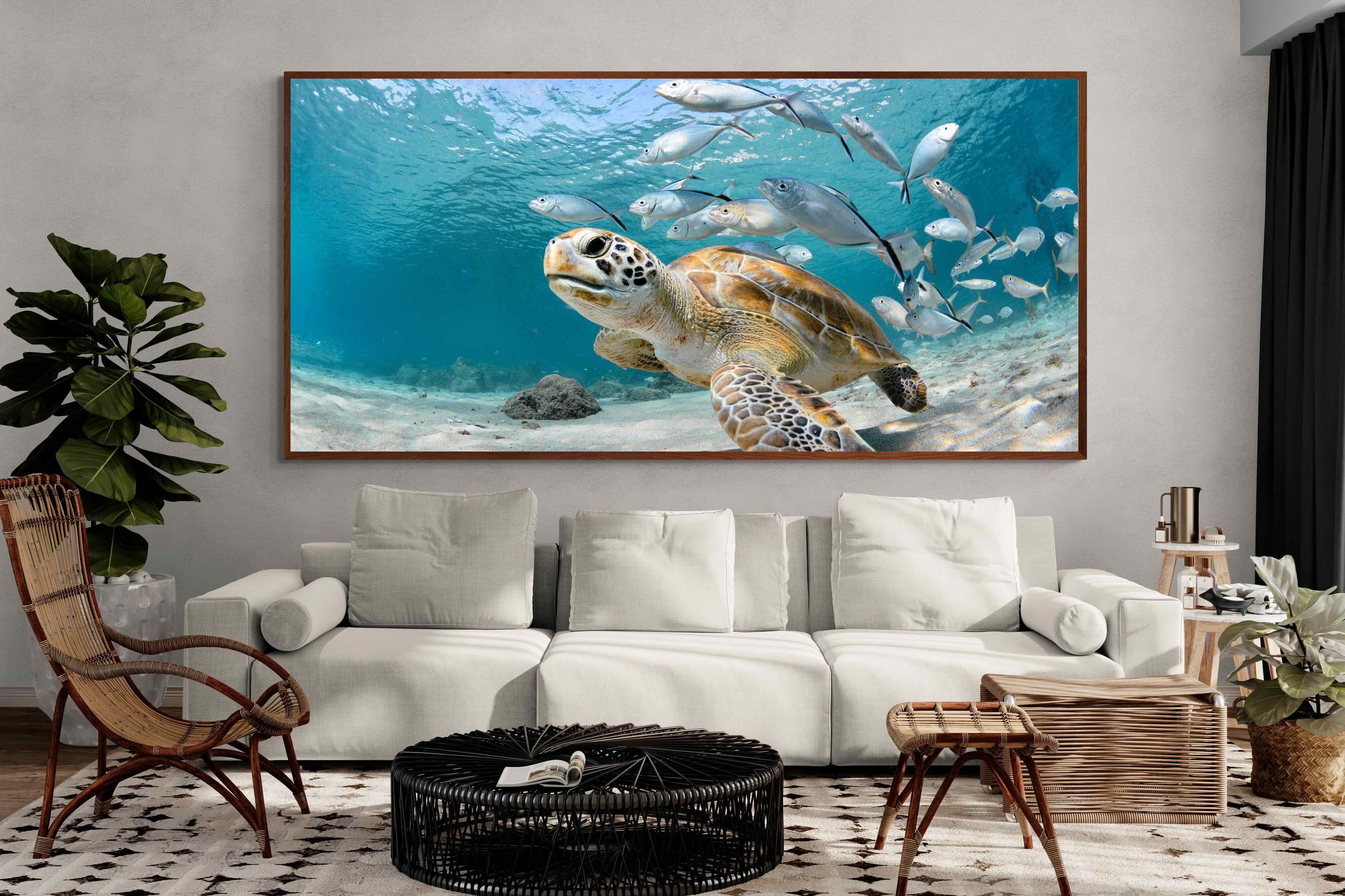 Pixalot ® Turtle