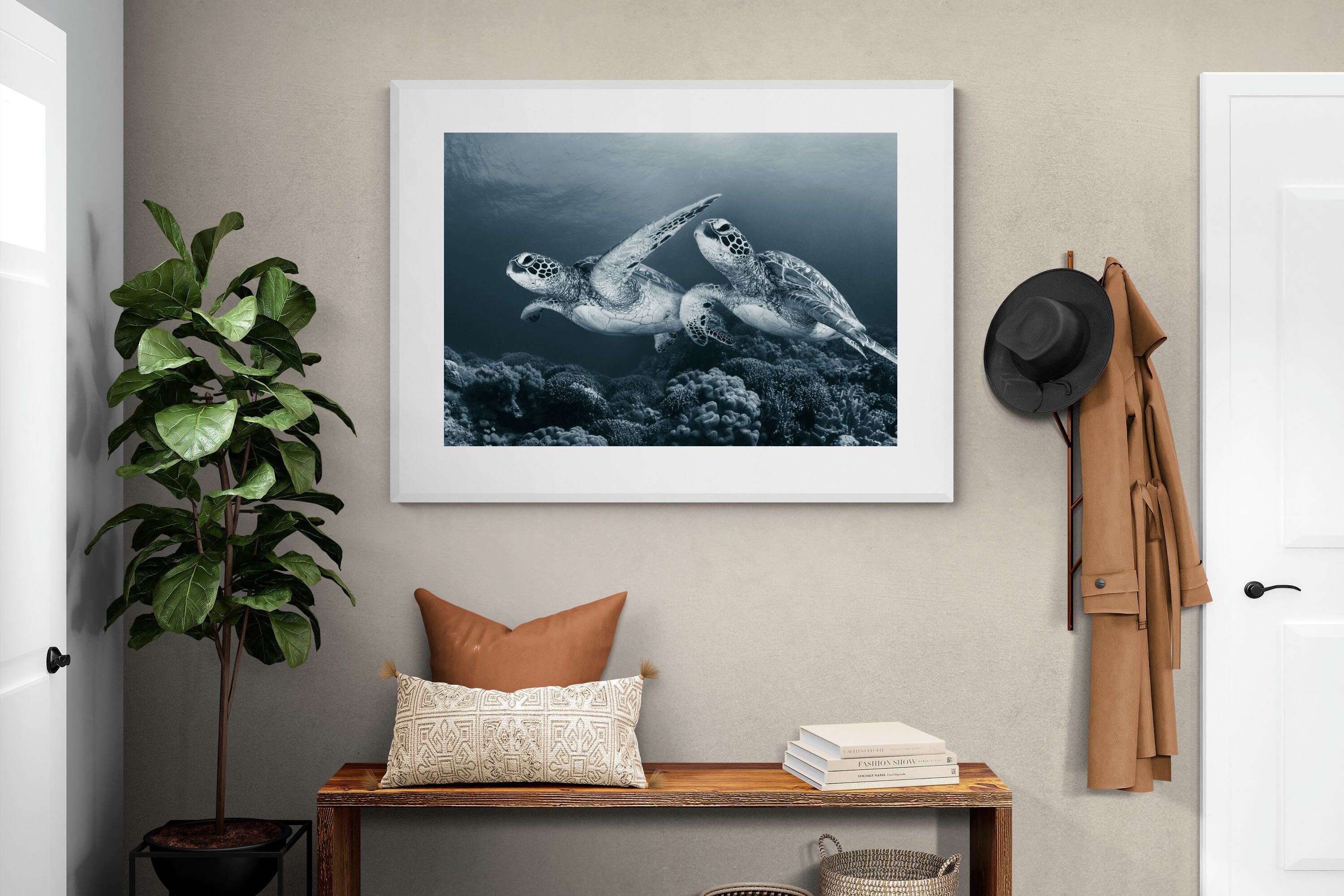 Pixalot Twin Turtles