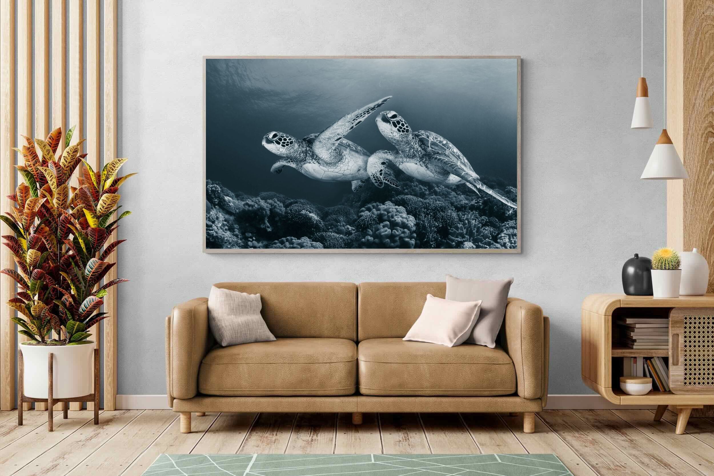 Pixalot Twin Turtles