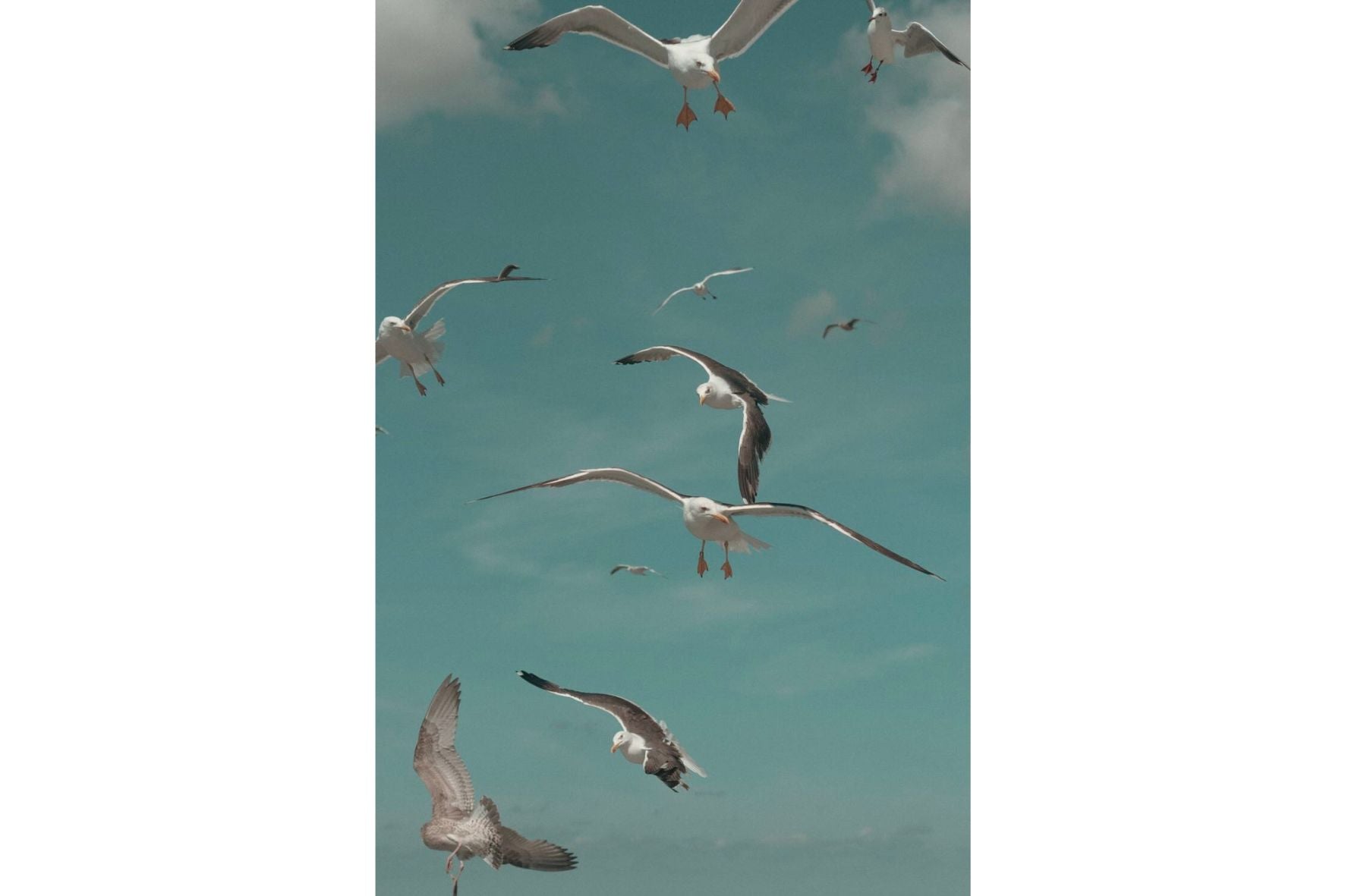 Dragable Image
