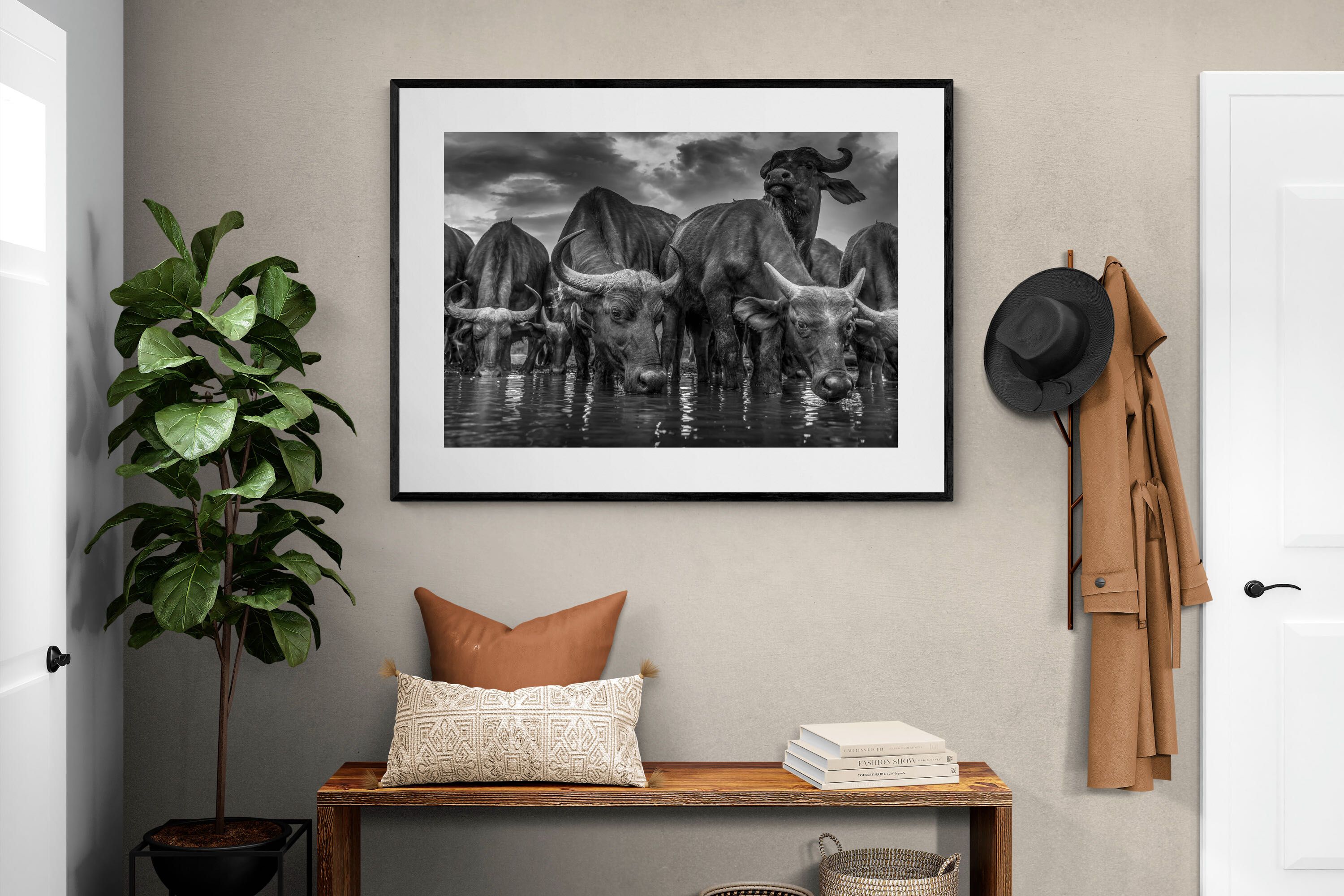 Pixalot Vigilant Herd