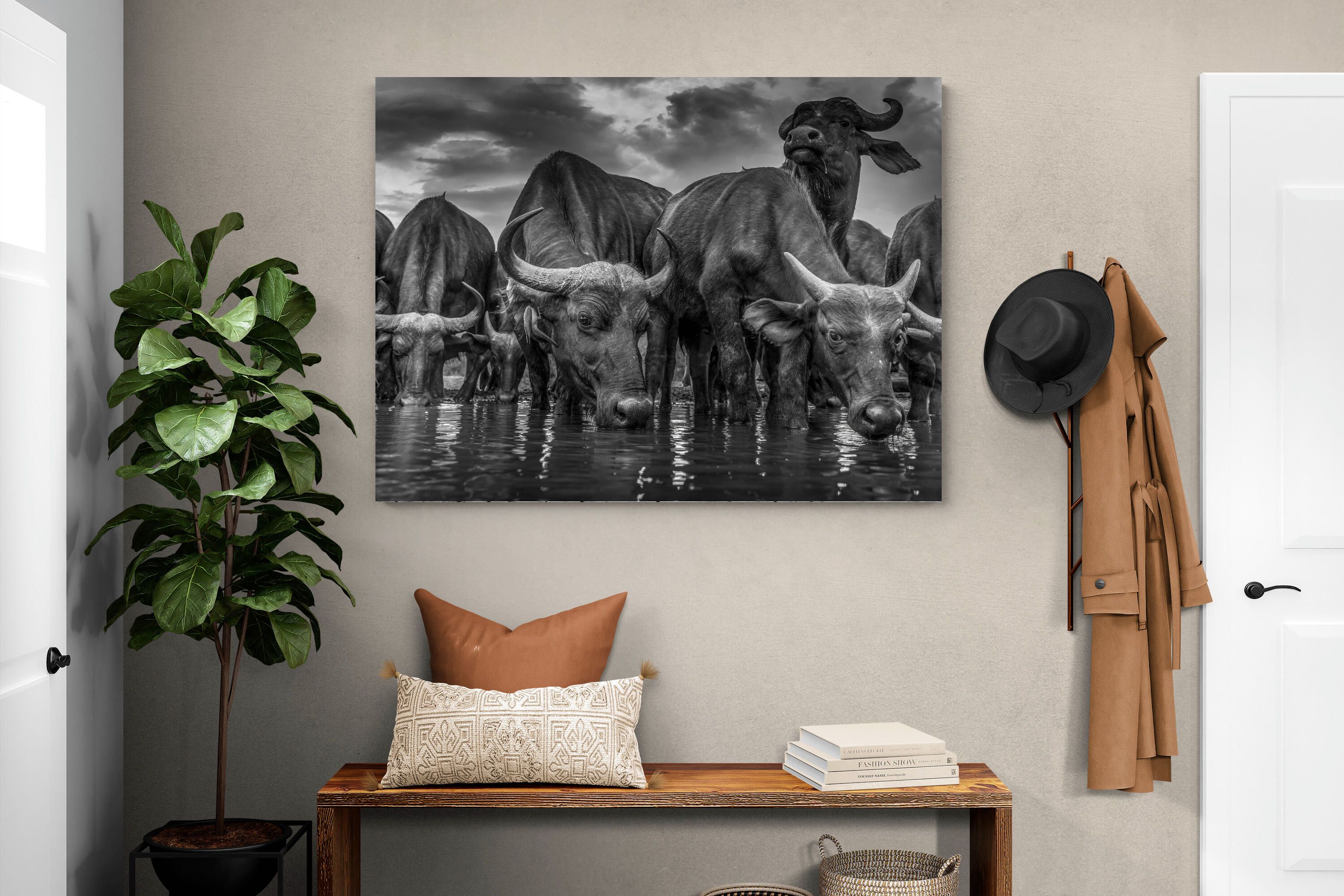 Pixalot Vigilant Herd