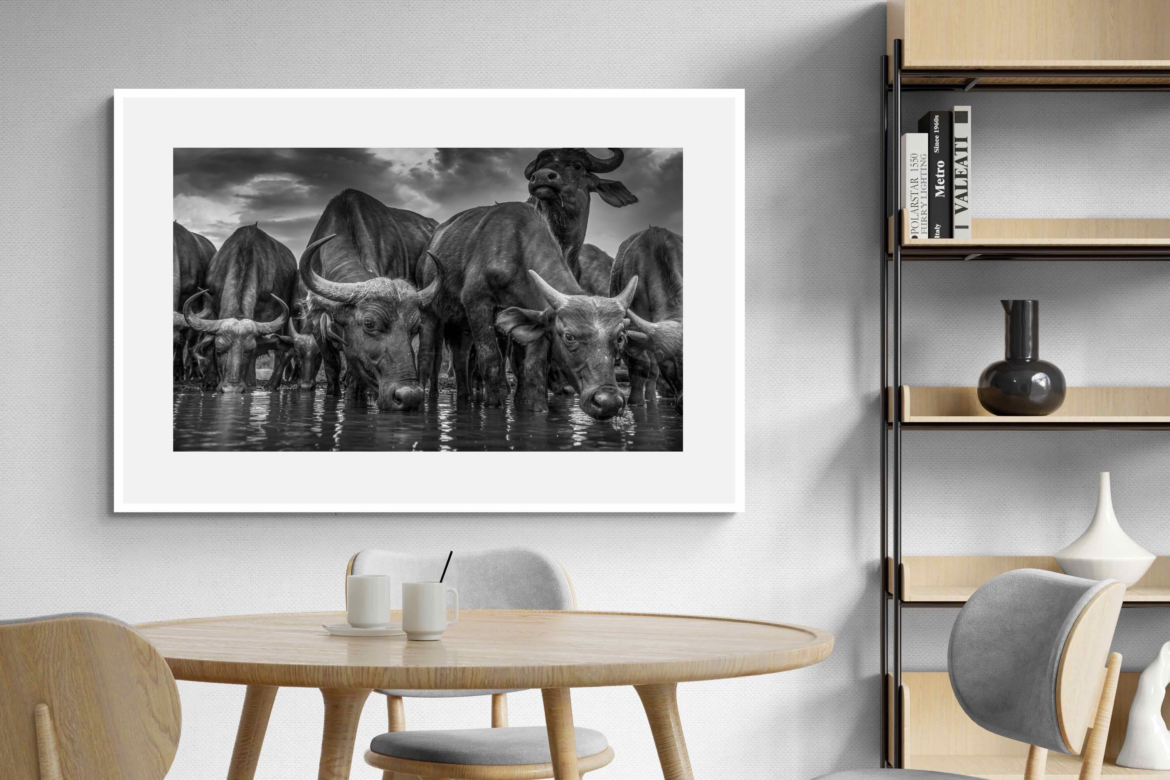 Pixalot Vigilant Herd