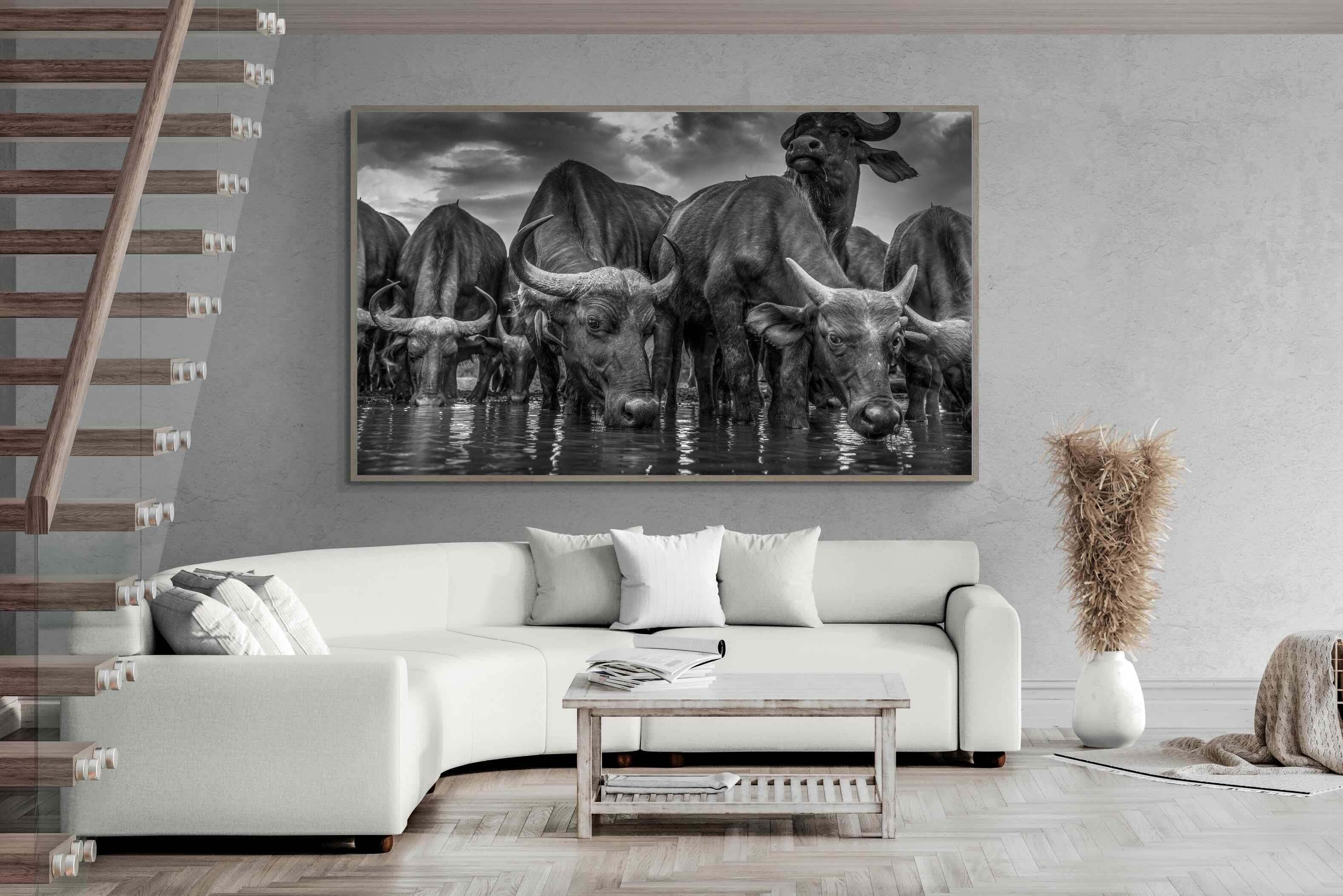 Pixalot Vigilant Herd