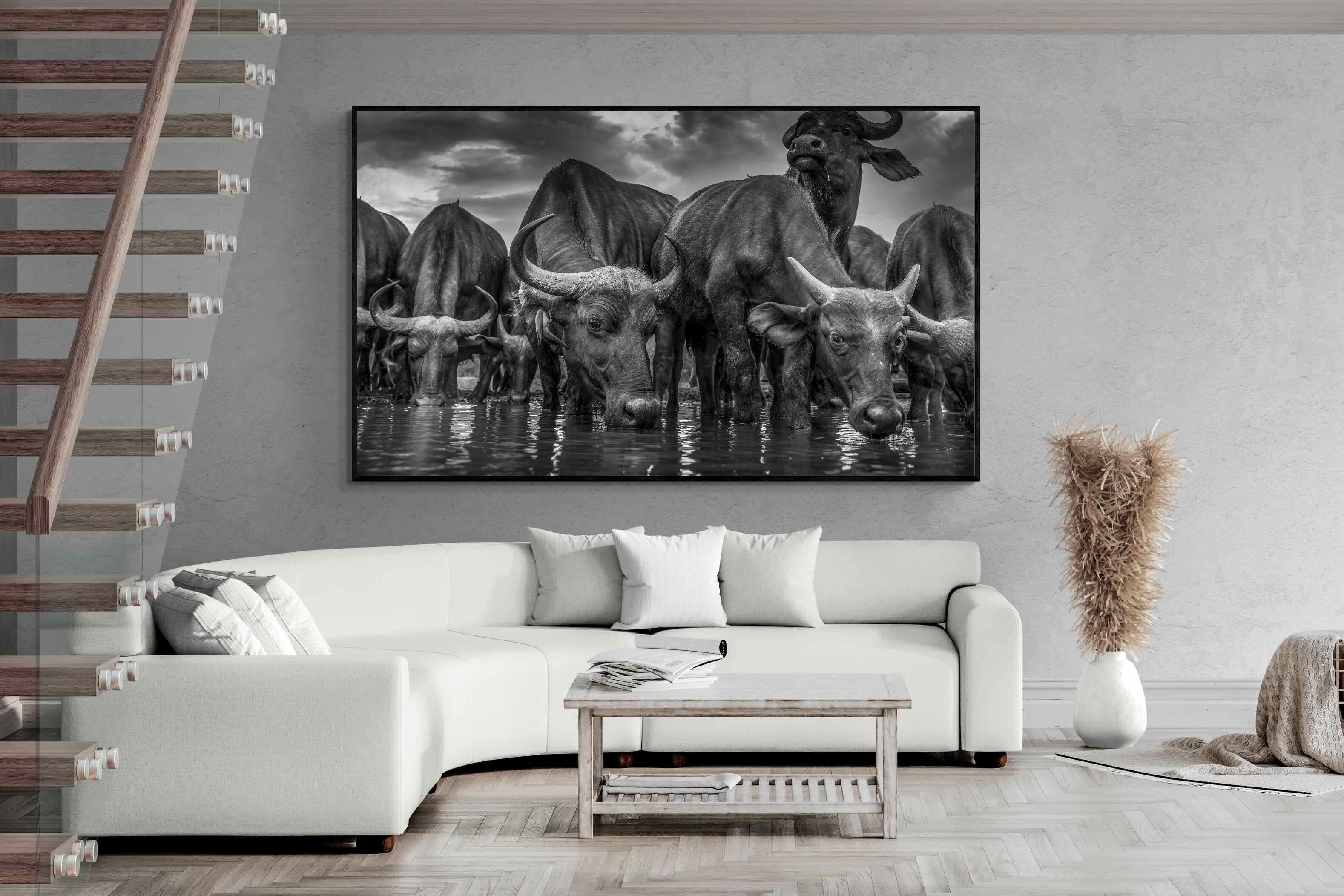 Pixalot Vigilant Herd