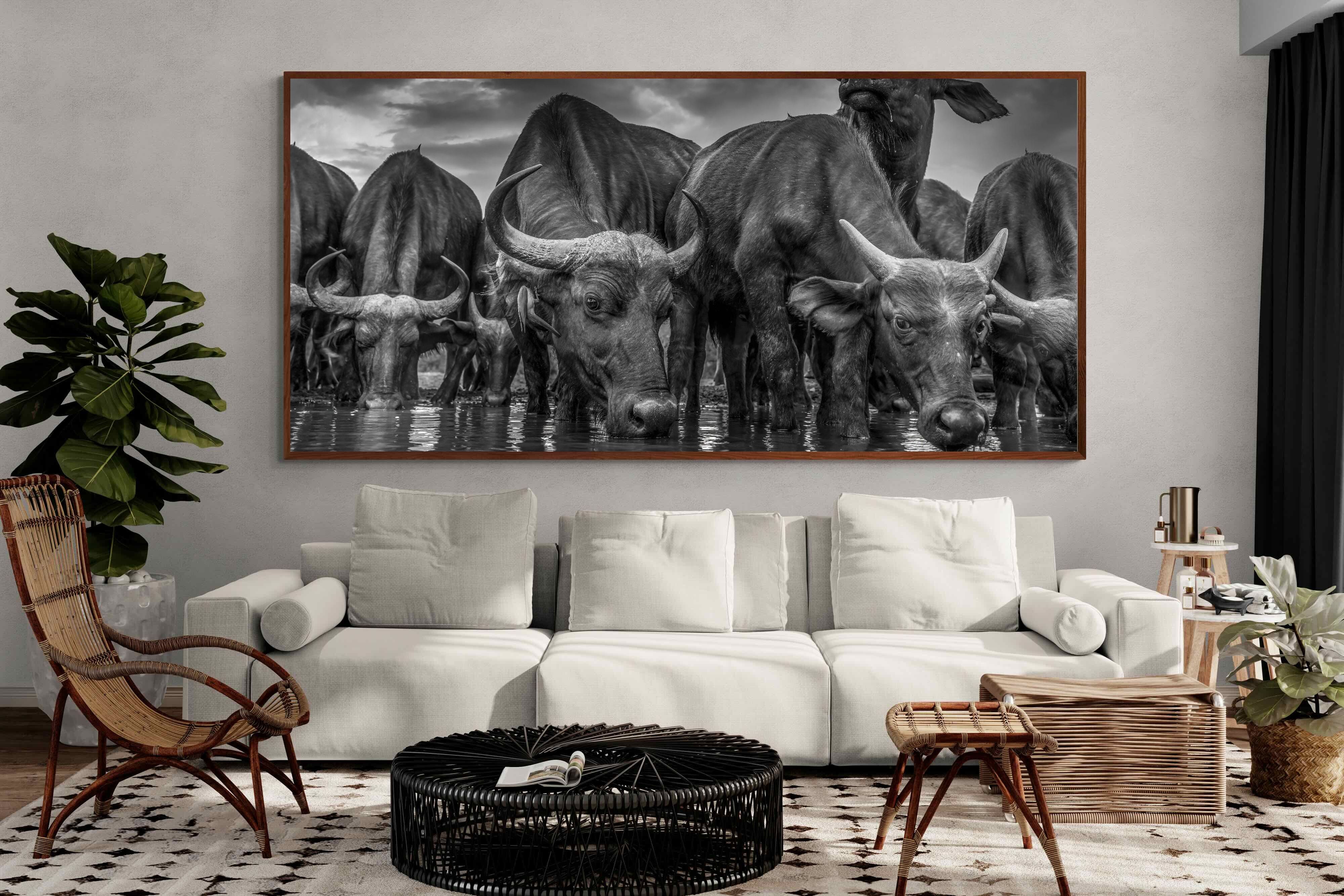 Pixalot ® Vigilant Herd