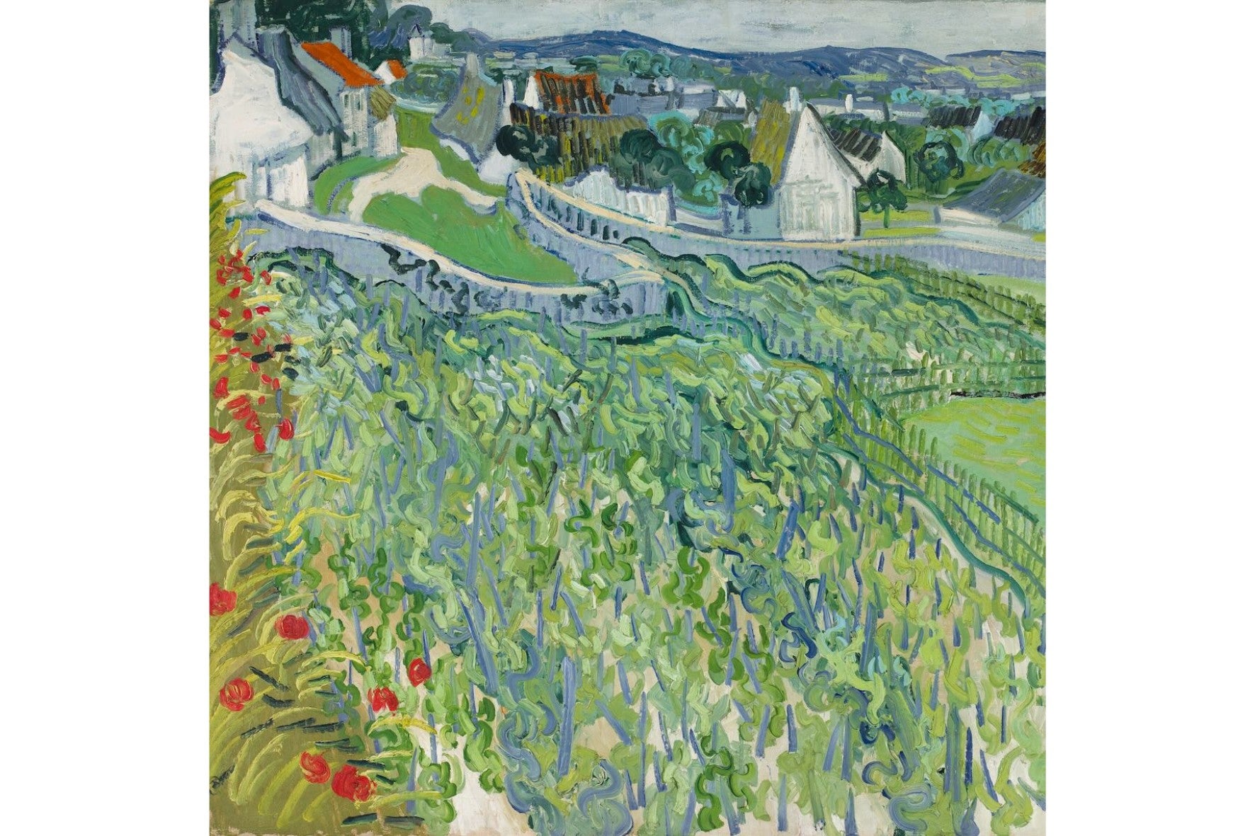 Vineyards at Auvers