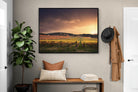 Pixalot ® Vineyards