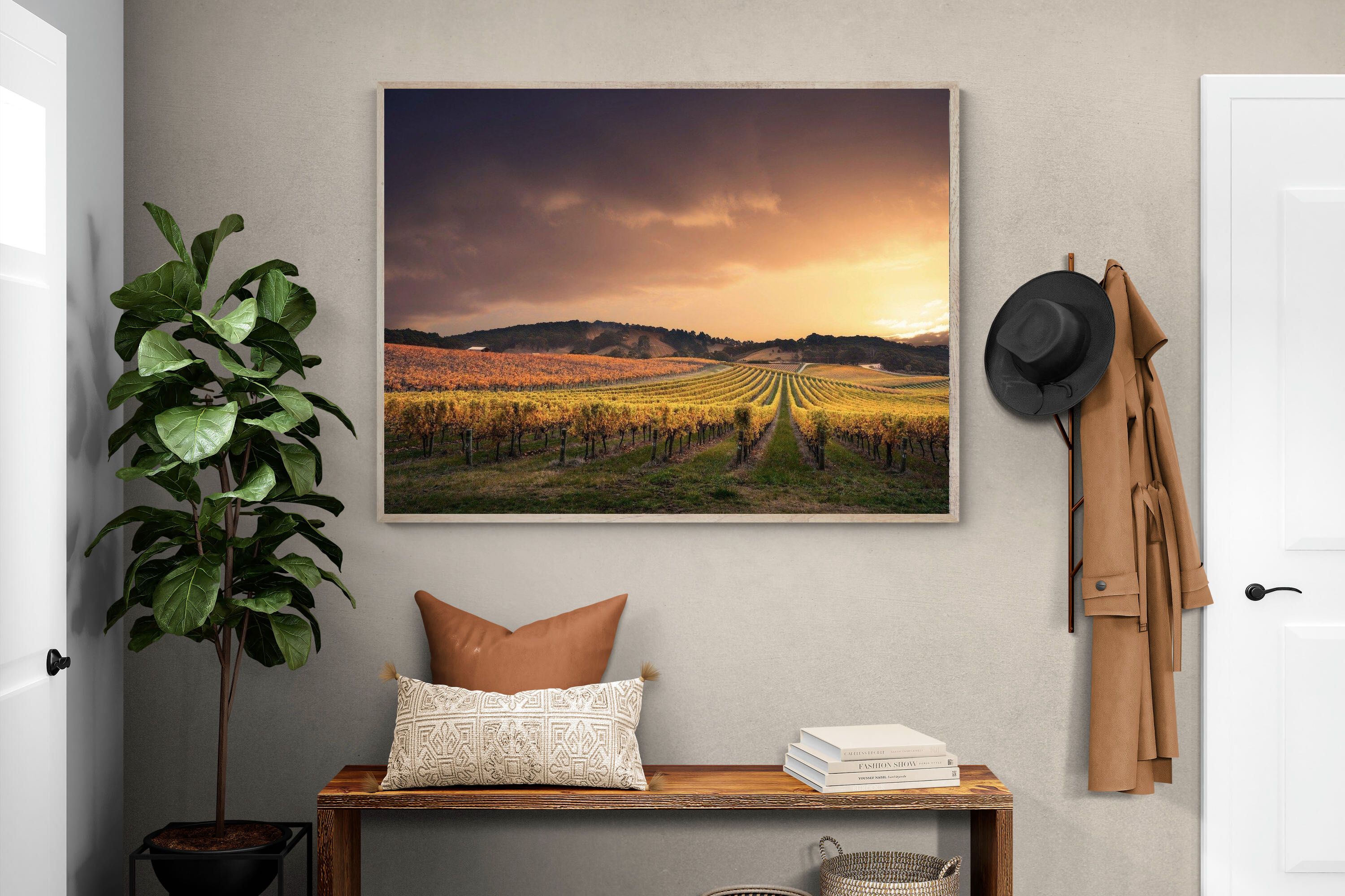 Pixalot ® Vineyards