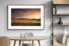 Pixalot ® Vineyards