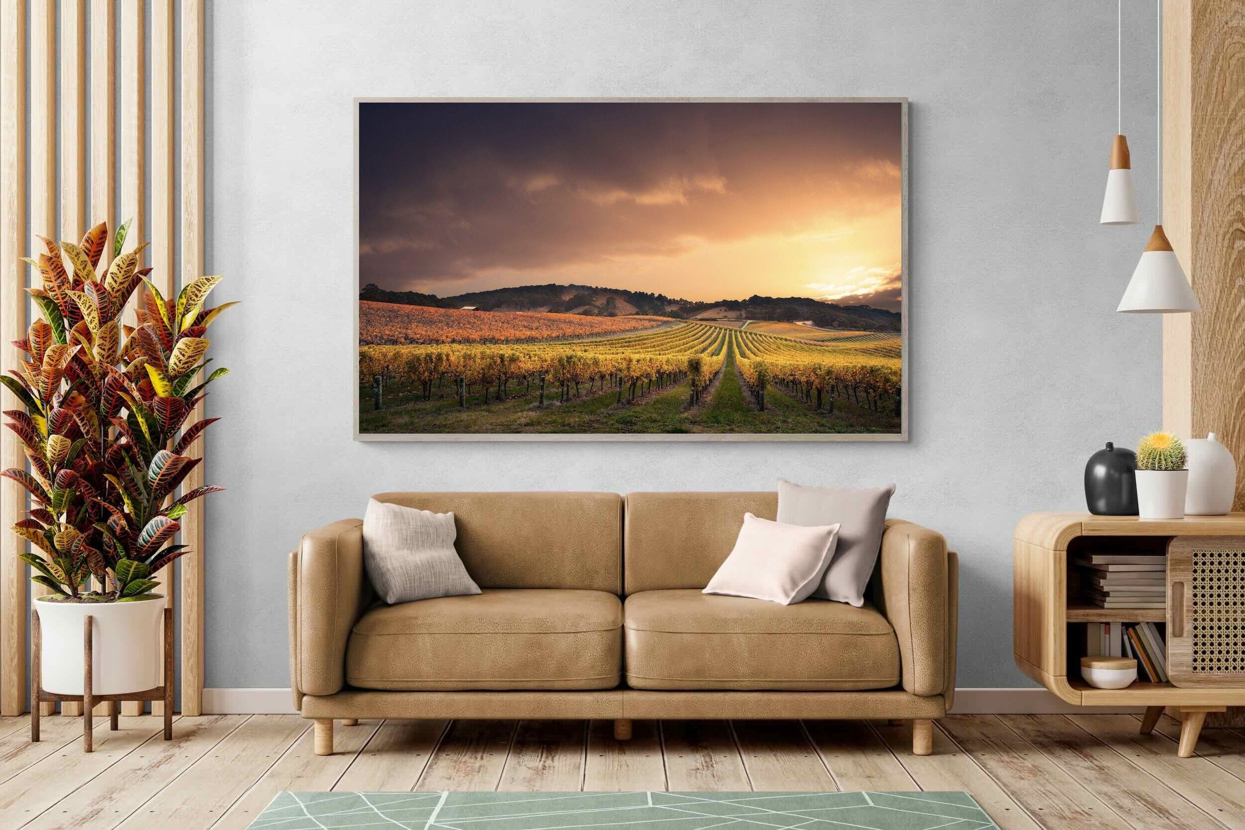 Pixalot ® Vineyards