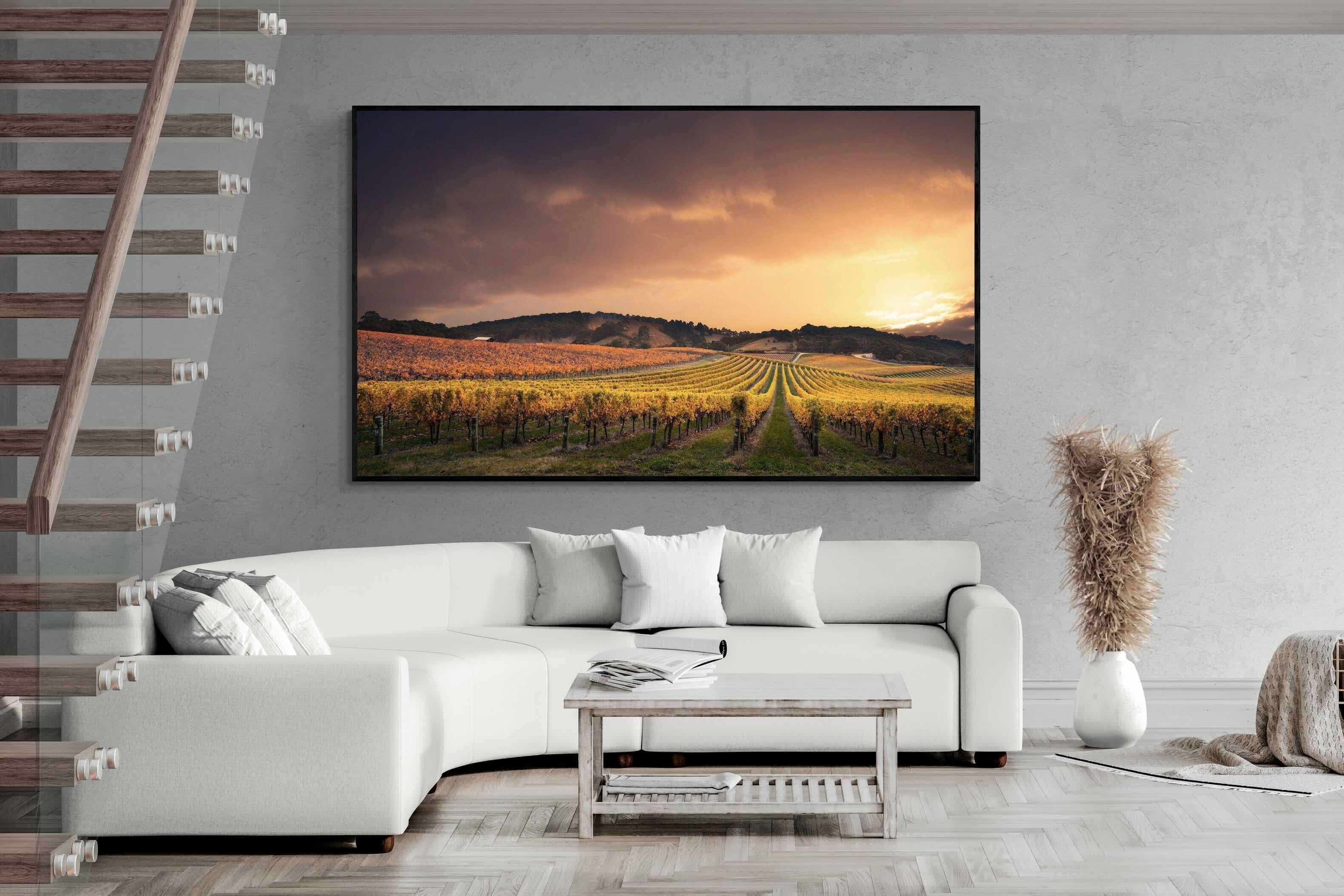 Pixalot ® Vineyards