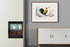 Pixalot ® Vintage Cockerel Illustration