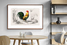 Pixalot ® Vintage Cockerel Illustration
