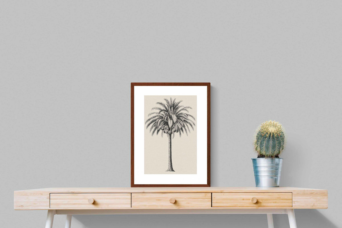 Pixalot ® Vintage Island Palm Illustration