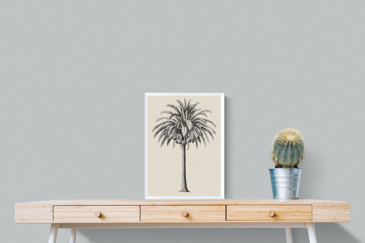 Pixalot ® Vintage Island Palm Illustration