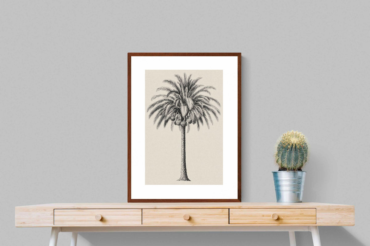 Pixalot ® Vintage Island Palm Illustration