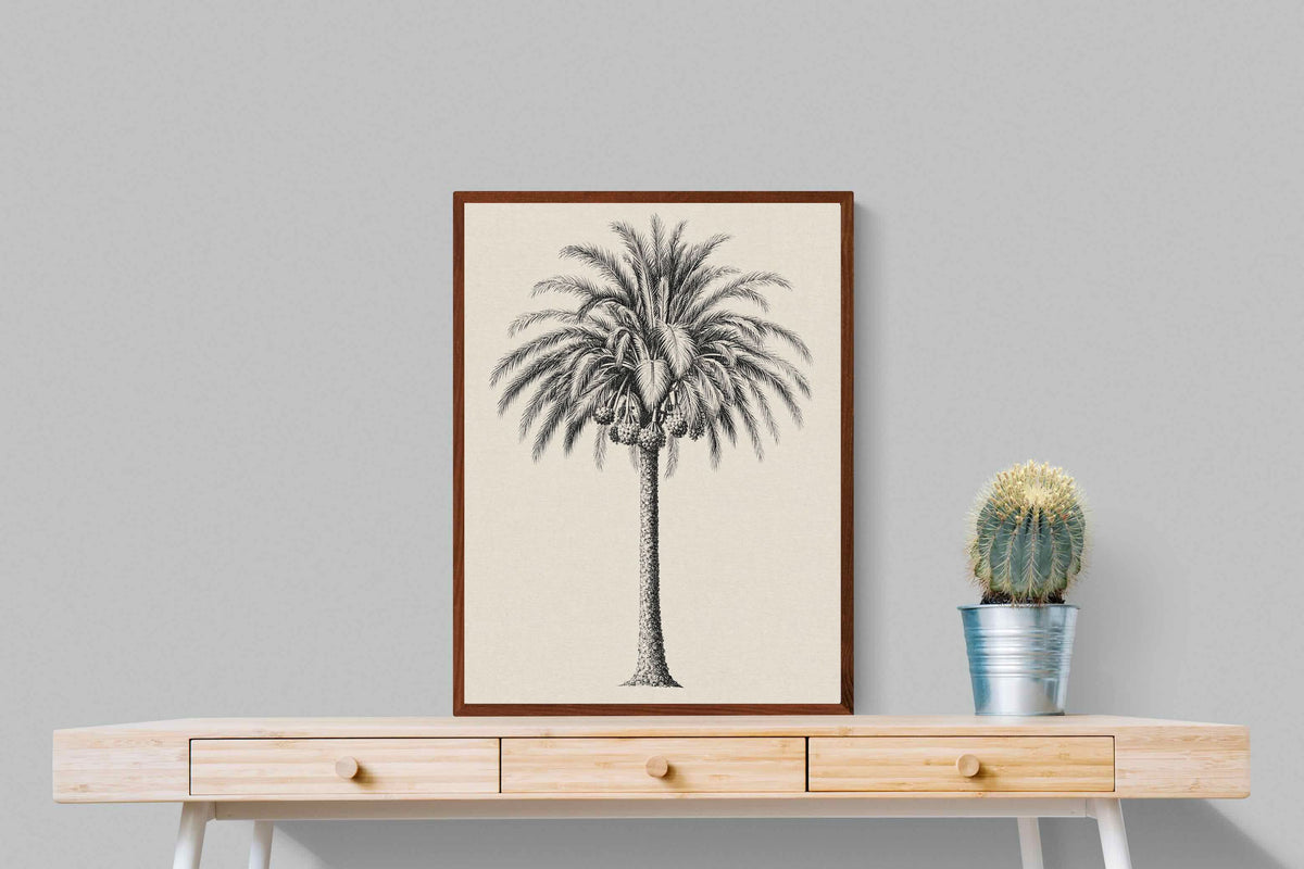 Pixalot ® Vintage Island Palm Illustration