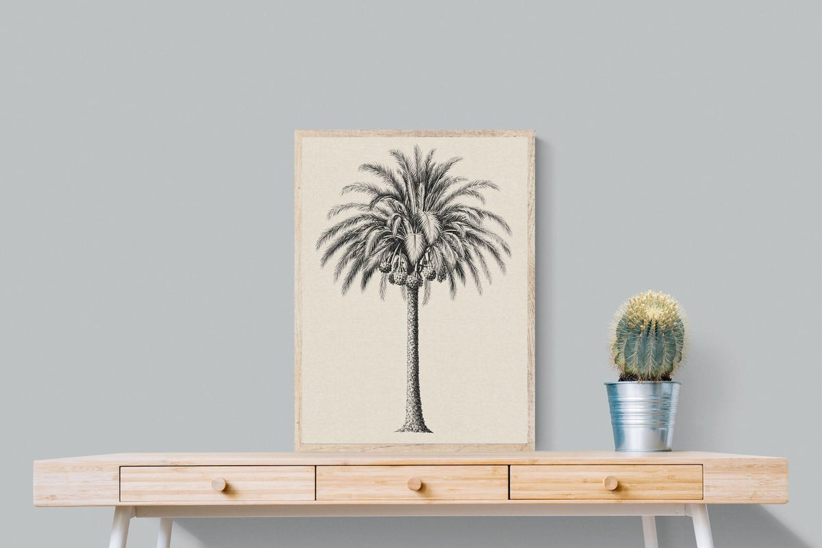 Pixalot ® Vintage Island Palm Illustration