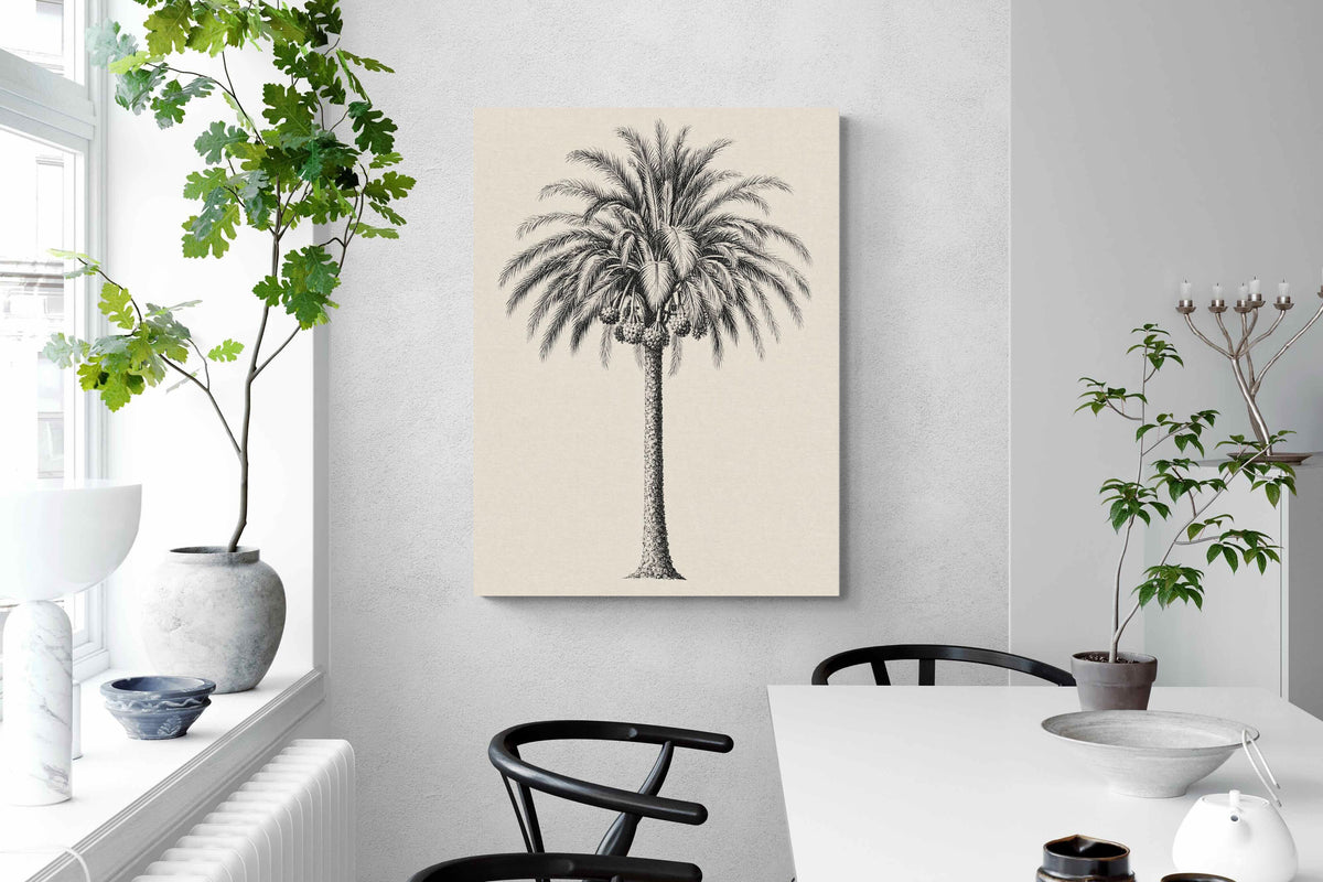 Pixalot ® Vintage Island Palm Illustration